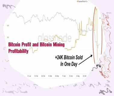 Purpose of bitcoin